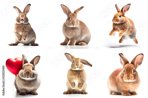 cute rabbits during the new year 2023. rabbits on a white background
