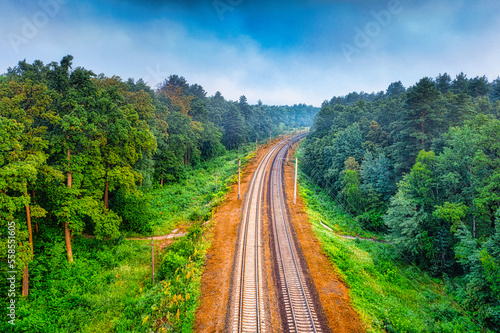 The railway runs through the forest. Empty tracks at sunset or dawn.