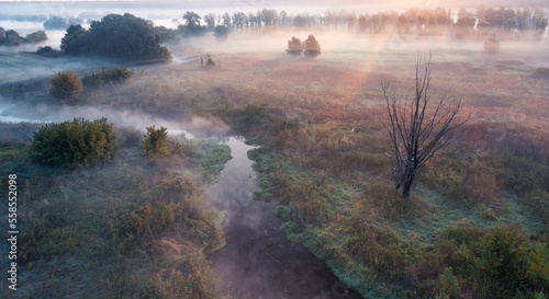 Dawn over the meadow. A wonderful summer landscape. Drone view. Morning fog.