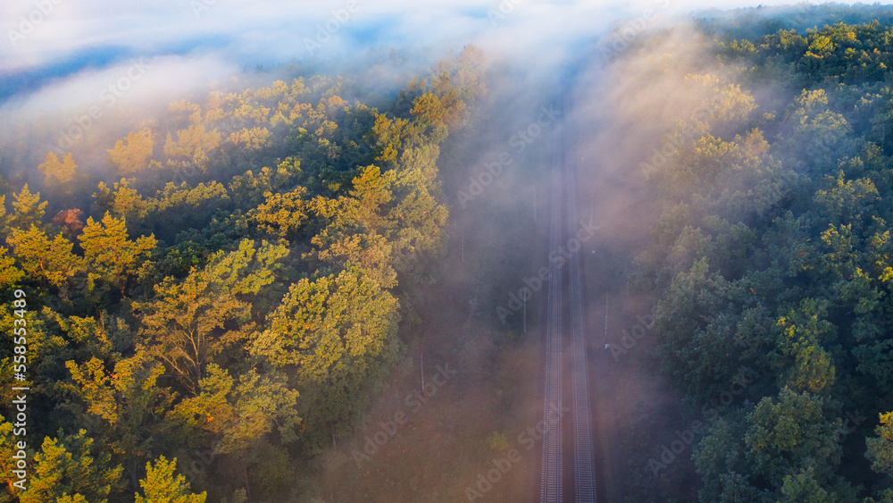 The railway through the autumn forest at dawn.