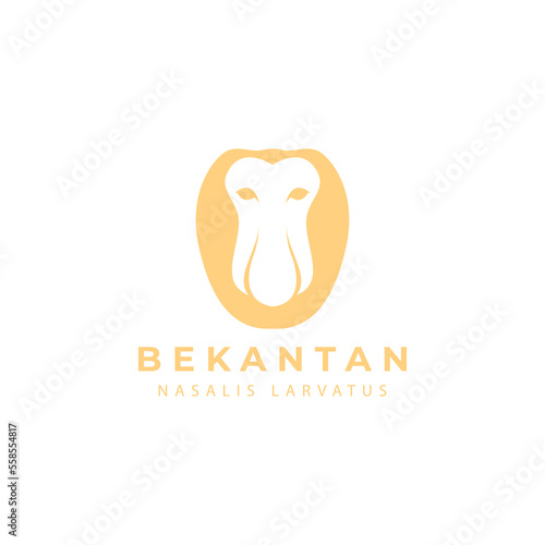 The proboscis monkey (Nasalis larvatus) or long-nosed monkey, known as the bekantan in Indonesia, is a reddish-brown arboreal Old World monkey with an unusually large nose.