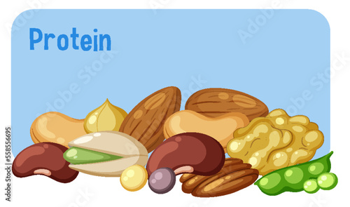 Variety of protein foods