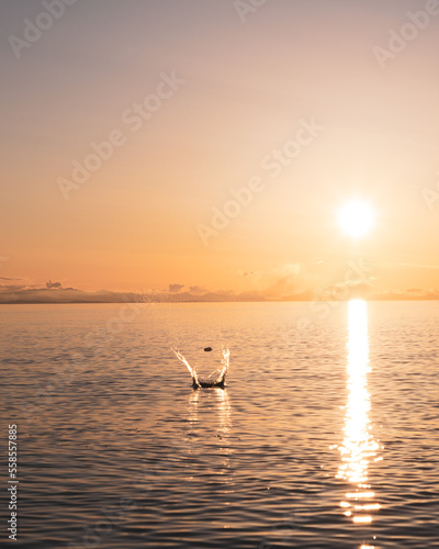 Skipping rocks in the sunset
