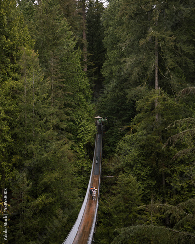 Suspension bridge