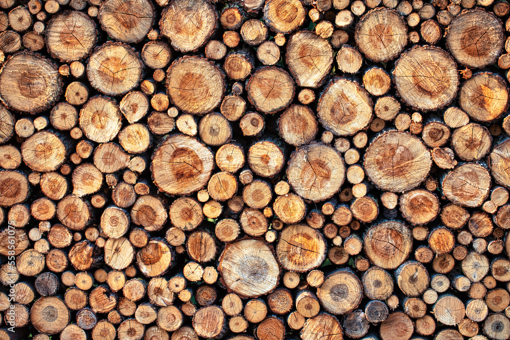 Wooden perpendicular cuts, texture. Abstract natural background. Wooden perpendicular cuts, texture. Abstract natural background.