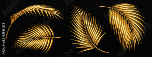 Set of golden palm tree leaves isolated on black transparent background. Realistic vector illustration of tropical plant branches top, side view. Luxury floral cosmetics, interior design element