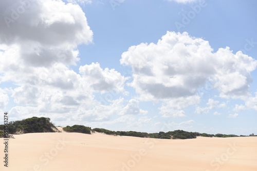 Natural landscape of dunes with coastal vegetation