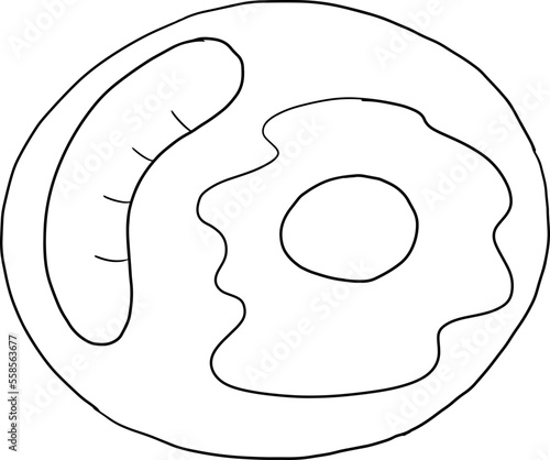 Sketch egg