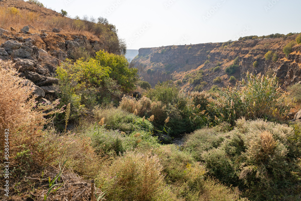 A mountain  gorge through which the Gamla stream flows on the Dolmen Path in Gamla Nature Reserve, Golan Heights, northern Israel