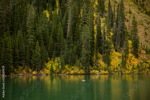 Beautiful forest on the shore of a blue mountain lake