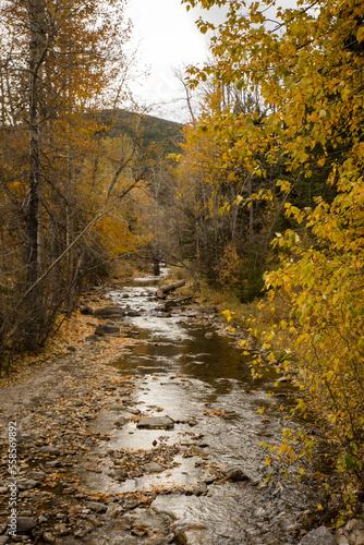 Mountain stream flowing through a fall forest
