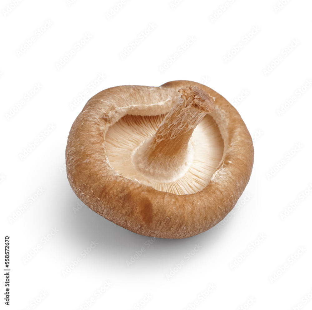 Fresh shiitake mushroom isolated on white background Fresh shiitake mushroom isolated on white background