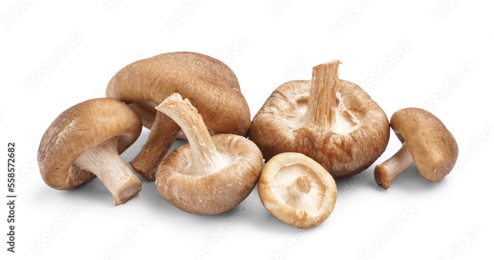 Heap of fresh shiitake mushrooms isolated on white background Heap of fresh shiitake mushrooms isolated on white background