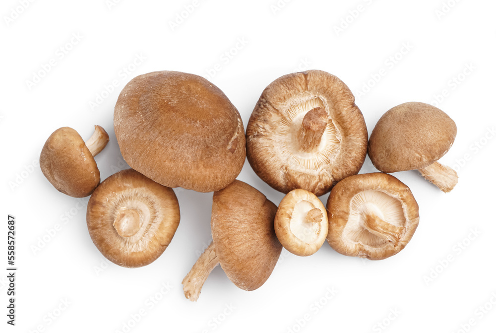 Heap of fresh shiitake mushrooms isolated on white background Heap of fresh shiitake mushrooms isolated on white background
