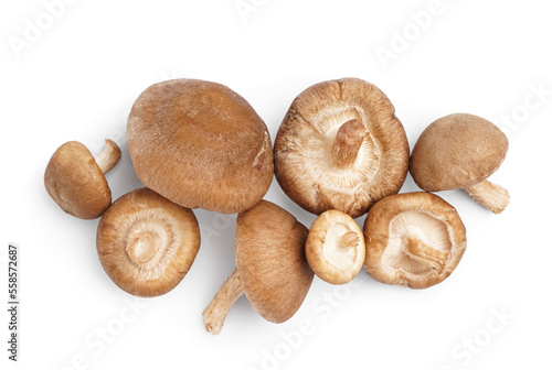 Heap of fresh shiitake mushrooms isolated on white background