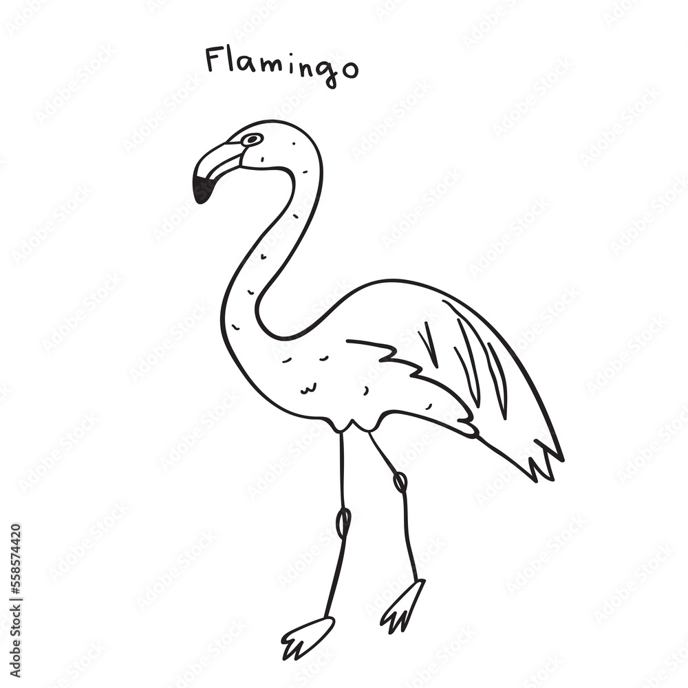 Flamingo. Outline vector design. Illustration. 