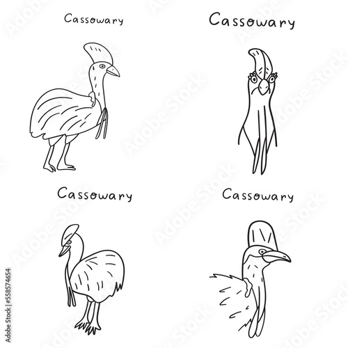 Cassowaries. Collection of exotic birds. Outline vector illustrations on white background. 