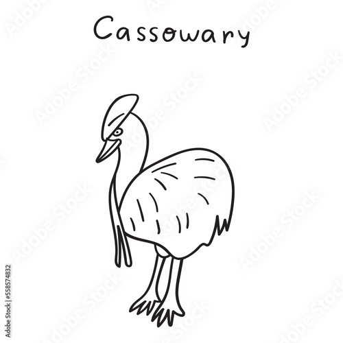 Cassowary. Outline vector hand drawn illustration.