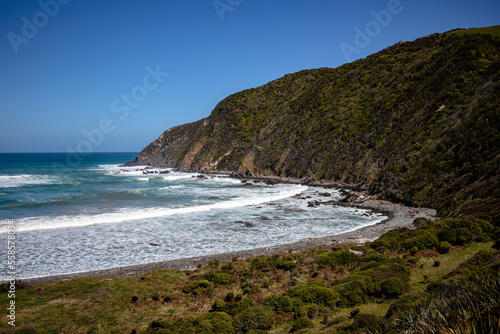View of Roaring Bay, Catlins, New Zealand © Richie