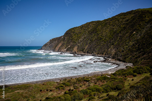 View of Roaring Bay, Catlins, New Zealand