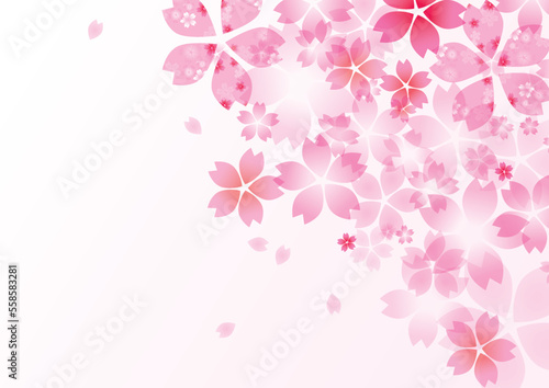 桜　春　花びら　背景
