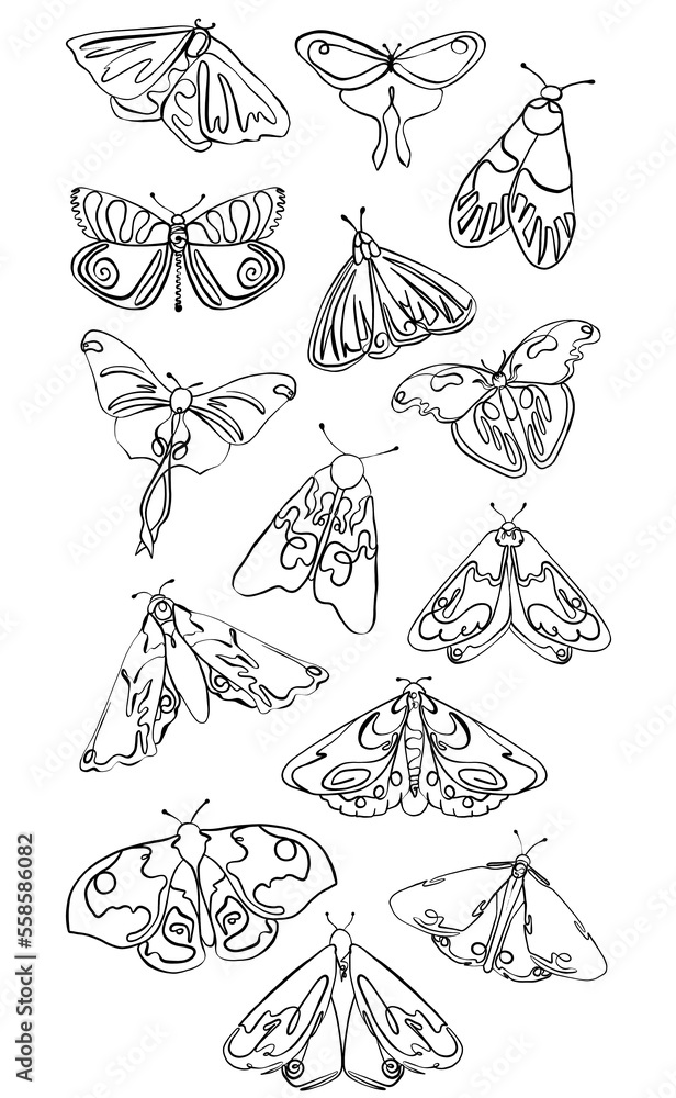 Abstract Butterflies lin art. collection of butterflies. Beautiful different butterflies.Unique butterflies in line art style