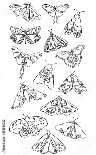 Abstract Butterflies lin art. collection of butterflies. Beautiful different butterflies.Unique butterflies in line art style