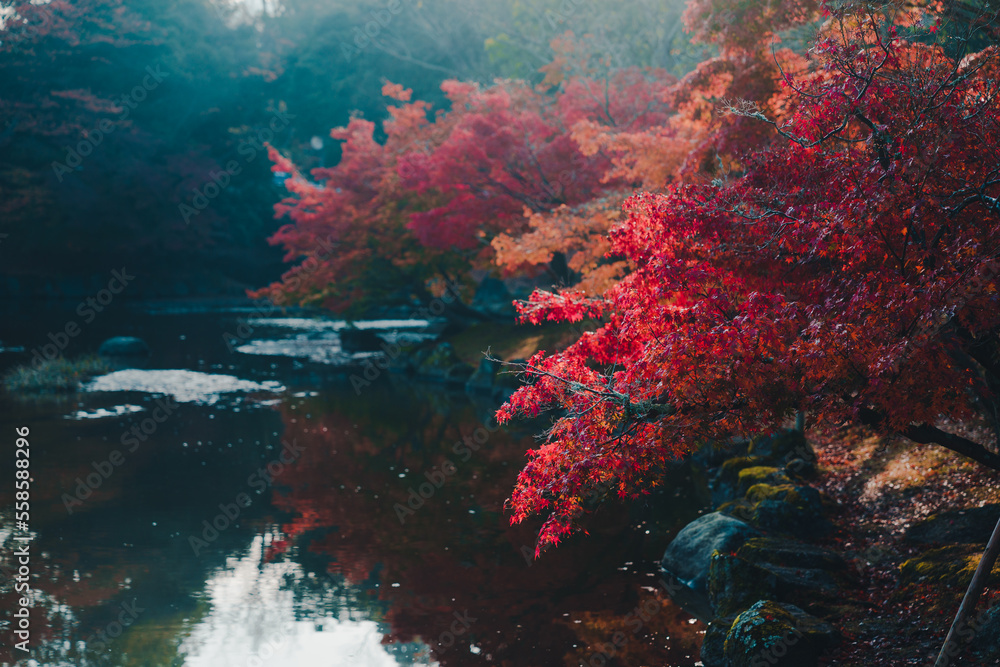 奈良 浮見堂と紅葉 奈良 浮見堂と紅葉