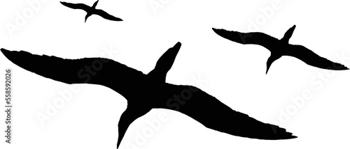 Silhouette of a Flock of Flying Birds © DesignBlast