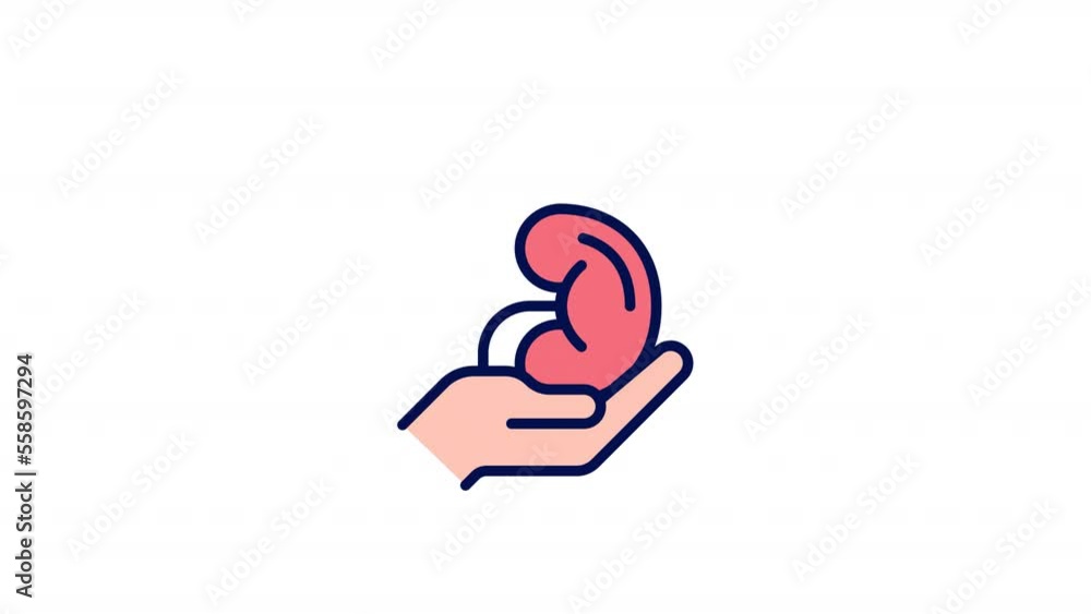 Animated donate organ color icon. Kidney transplantation. Potential donor. Surgery. Seamless loop HD video with alpha channel on transparent background. Simple filled line motion graphic animation