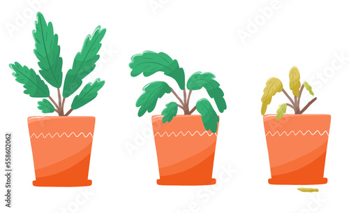 Set with plant wither process in cartoon style