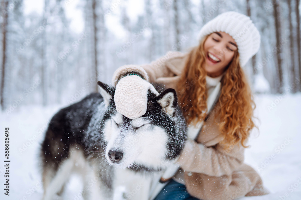 Happy woman walking her dog in the winter and both explore the snow together in playful mood. Friendship, pet and human. Happy woman walking her dog in the winter and both explore the snow together in playful mood. Friendship, pet and human.