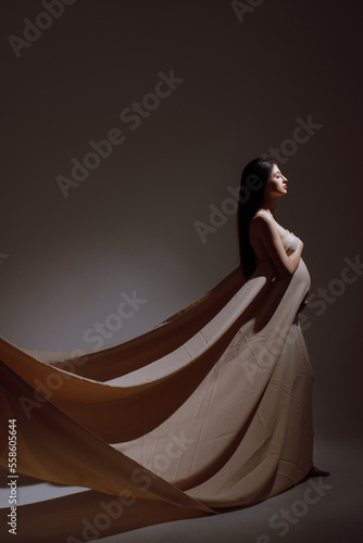 Full length of pregnant Caucasian woman on dark background, standing sideways and looking forward, side view photo