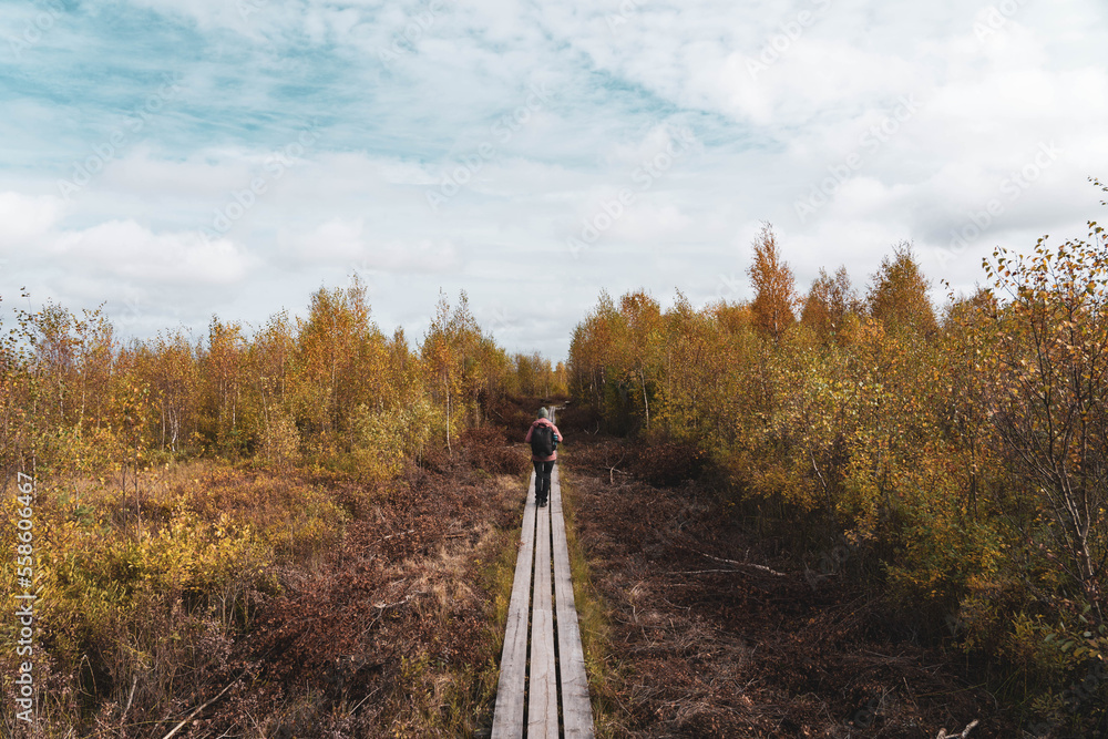 Young blonde hiker walks along a trail in Store Mosse National Park. Girl with big backpack walks on long wooden boards in the middle of a desert plain. Scandinavian vegetation, autumn and adventure.