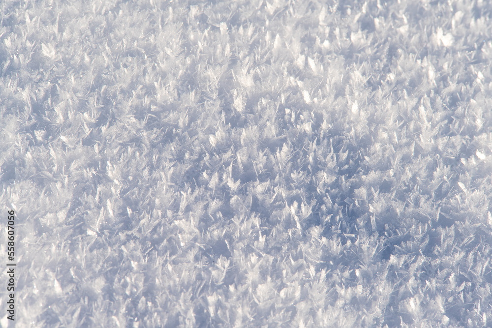 Obraz premium Beautiful snow crystals in the picturesque nature in the winter season