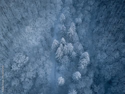 Beautiful blue background t...