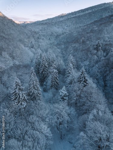 Morning aerial view of the ...