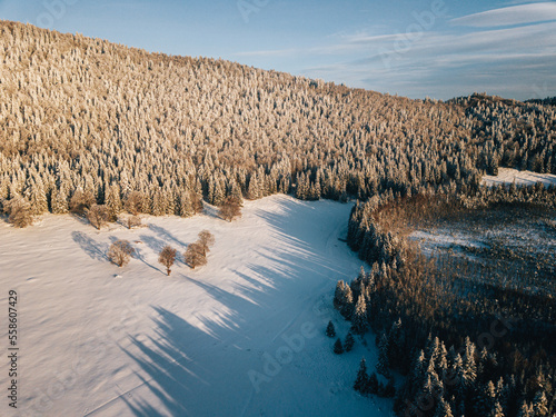 Aerial view of snow-covered...