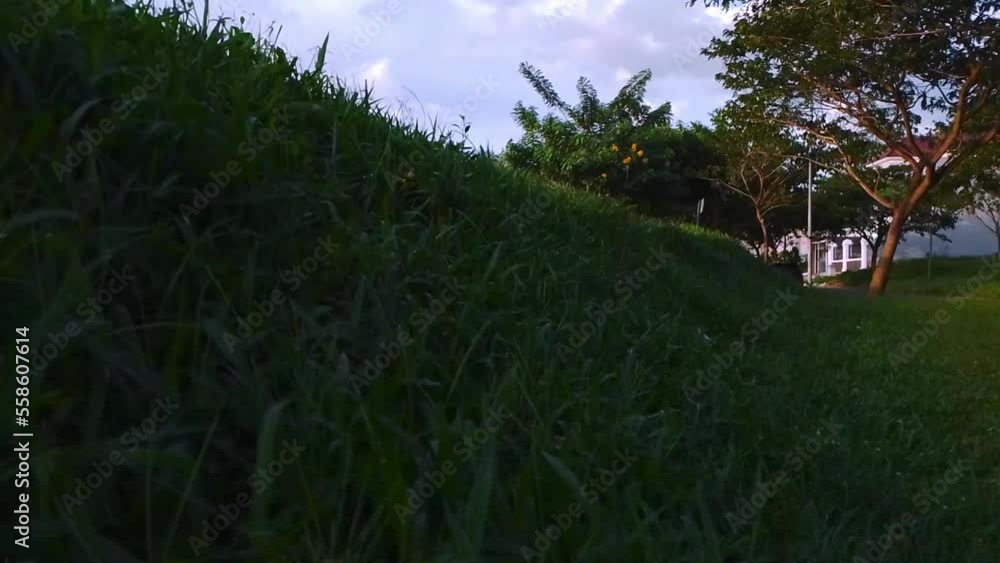mountain behind grass green field