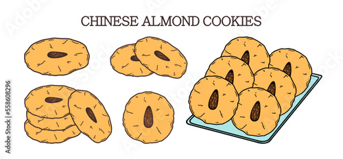 Chinese almond cookies vector illustration. Chinese New year dessert almond biscuit in doodle style.