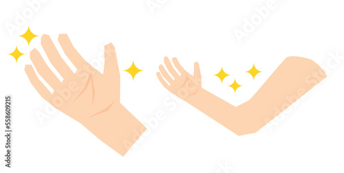 肌が綺麗な手指と腕のイラスト素材