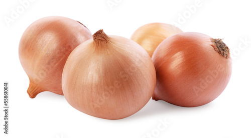 Yellow tasty fresh onions isolated on white