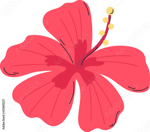 hibiscus flower plant floral decoration clipart