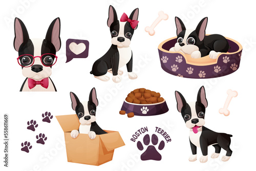 Set Cute Boston terrier stickers, cool sweet puppy in cartoon style isolated on white background. Cute dog, print design photo
