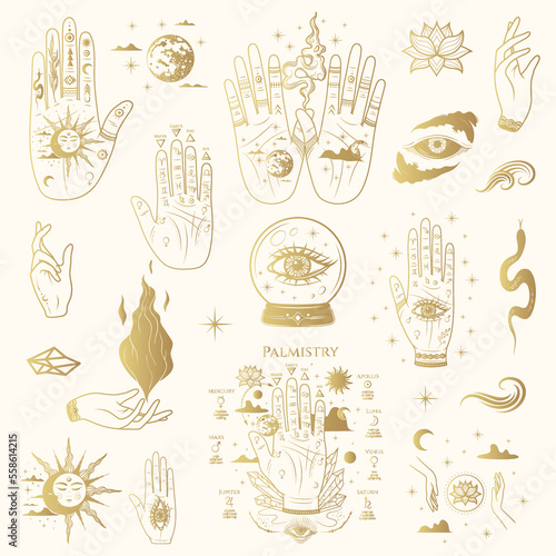 Golden Palmistry Hands isolated set. Hand drawn esoteric occult icons in boho style. Vector illustration for witchcraft, stickers and magic shop.