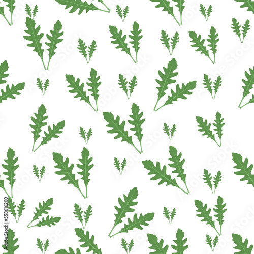 Seamless pattern Arugula leaves seamless pattern on a white background. Seamless design with green leaves. Wrapping  scrapbook paper  textile  fabric  wallpaper design. Vector illustration.