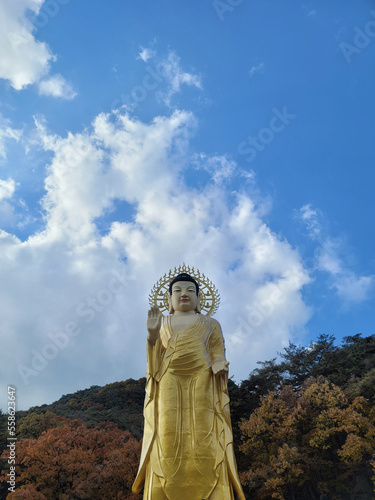buddha statue in the sky
