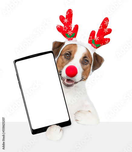 Jack russell terrier puppy dressed like santa claus reindeer  Rudolf holds big smartphone with empty screen in it paw, showing close to camera above empty white banner. isolated on white background © Ermolaev Alexandr