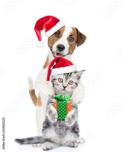 Happy Jack russell terrier puppy and funny cute kitten wearing santa hats standing together with gift box. isolated on white background © Ermolaev Alexandr