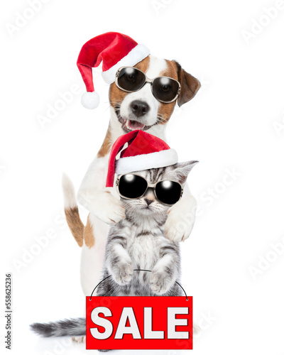 Happy Jack russell terrier puppy and funny cute kitten wearing sunglasses and santa hats standing together with signboard with labeled "sale". isolated on white background